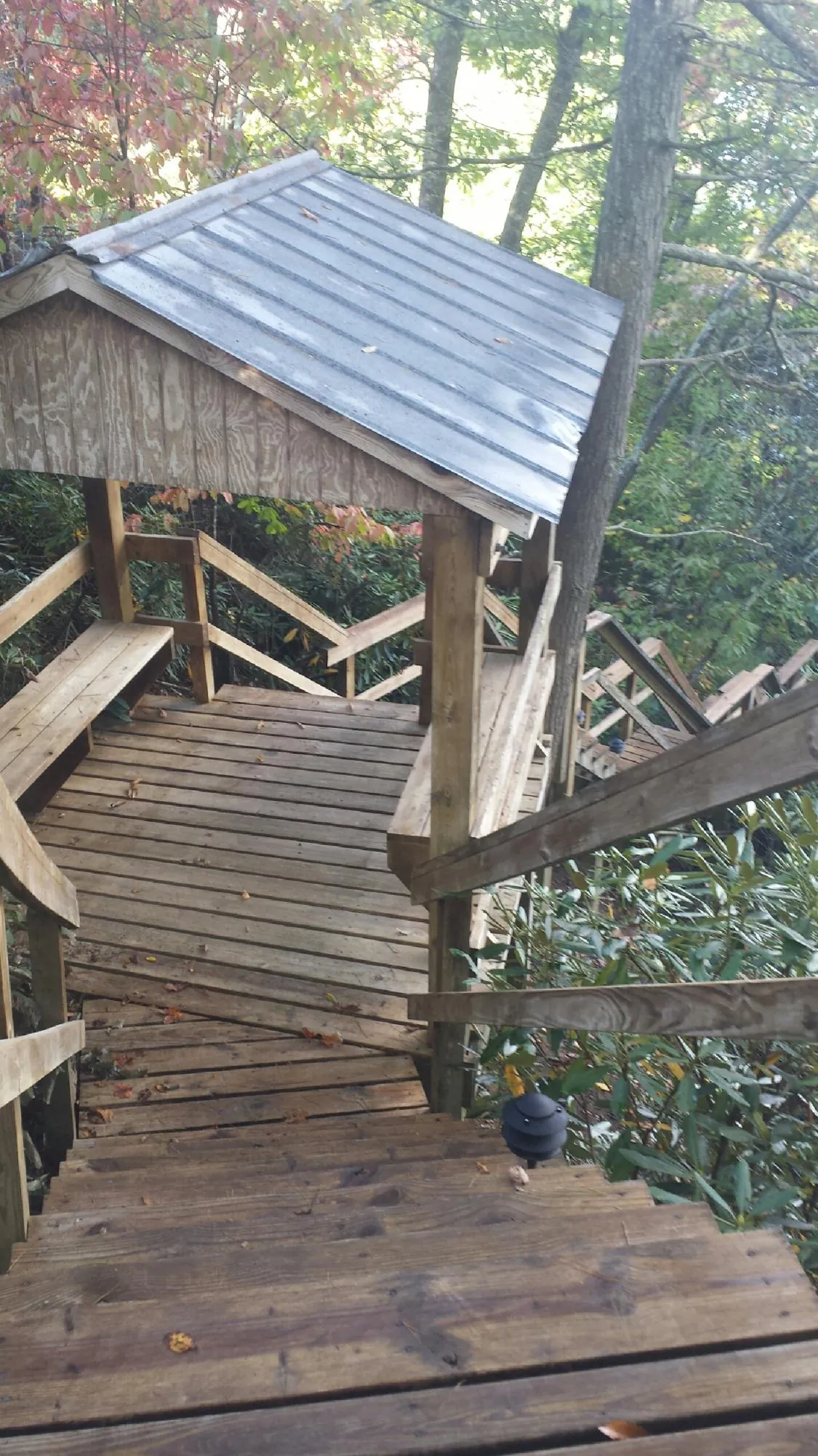 Metal roofed shelter over wooden steps on a wooded walkway — Skylight Repair & Installation work by our crew in Pelzer